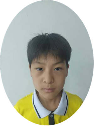 图片1