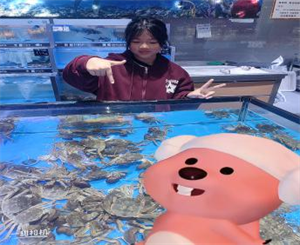 图片1