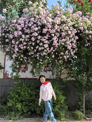 张梓玥图片1