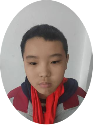 李洛钒图片1