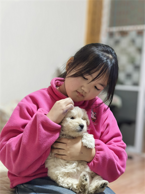 张予沫图片1