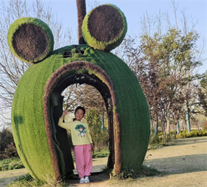 马晨曦图片1