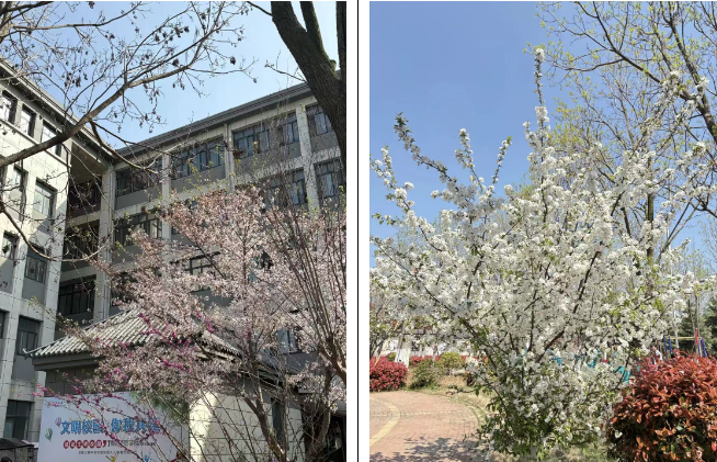 微信图片_20260408164142_568_2