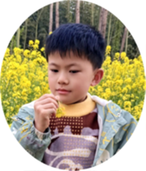 5图片1