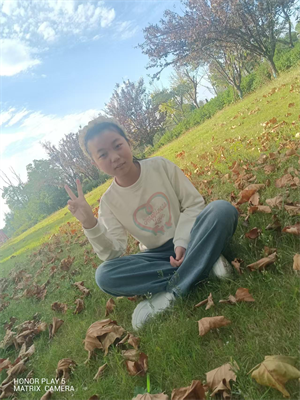 12图片1