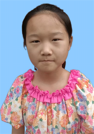 22图片1